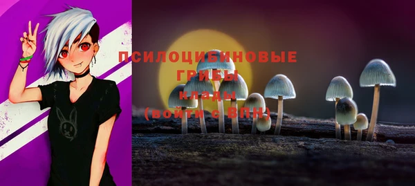 дурь Алексеевка