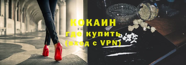 твердый Абаза