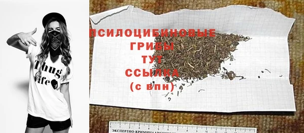 эйфоретик Абинск